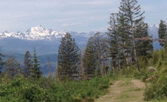 Tour Divide 2015 - Rider Reports From the Trail Part II