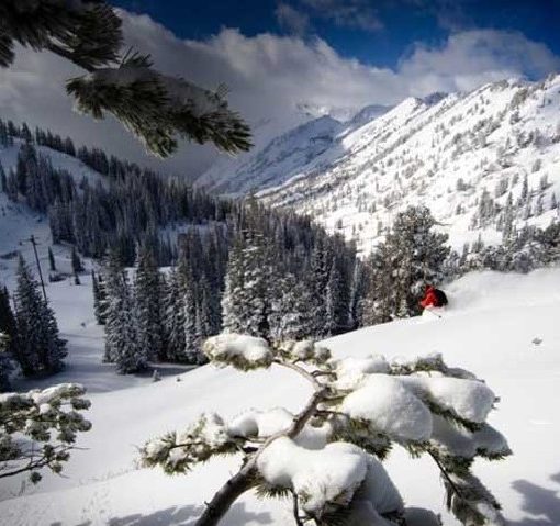 How to Buy an Avalanche Beacon