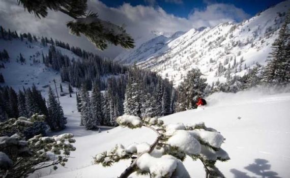 How to Buy an Avalanche Beacon