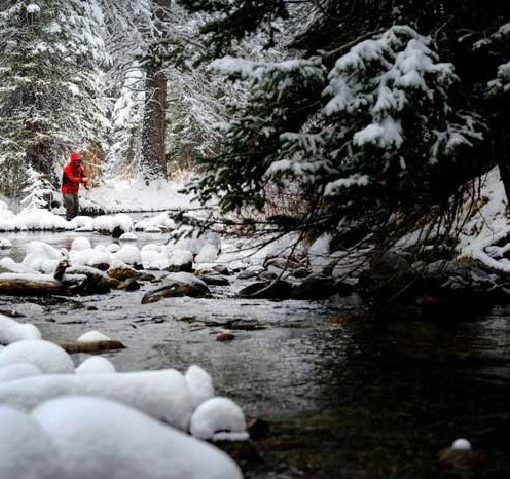 Fishing midges on tailwaters
