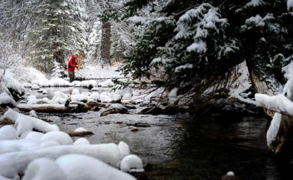 Fishing midges on tailwaters