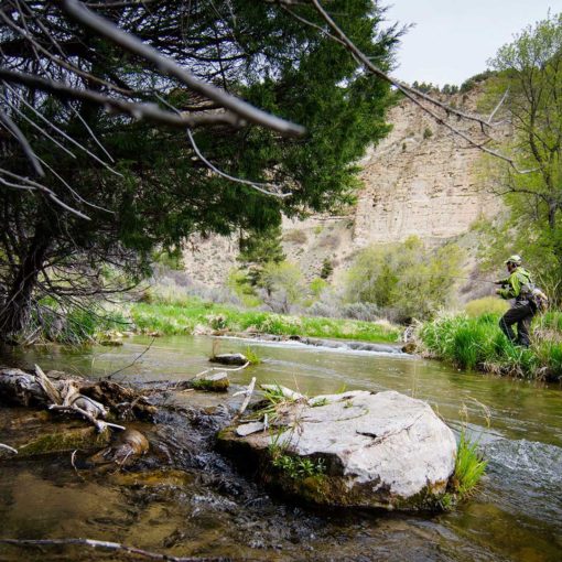 Learn How to Fish in Spring Runoff | Jans Fly Shop | jans.com