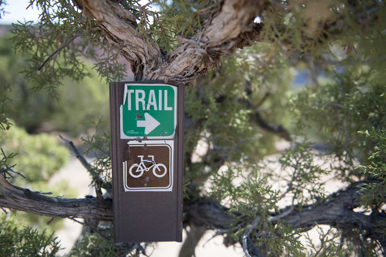 A trail marker on the Good Water Rim train in Utah