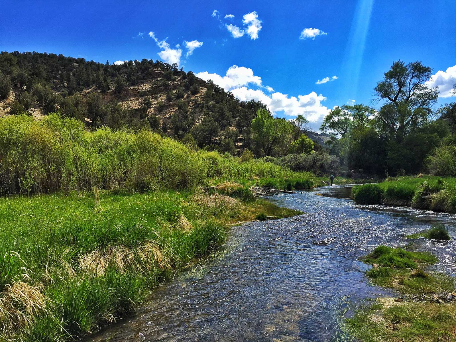 alt="Jans Experts Fly Fishing the Cutthroat Slam in Utah"