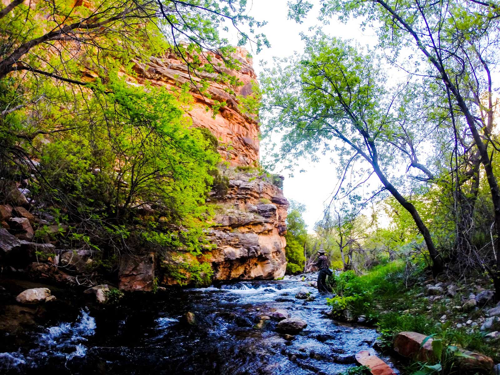 alt="Jans Experts Fly Fishing the Cutthroat Slam in Utah"