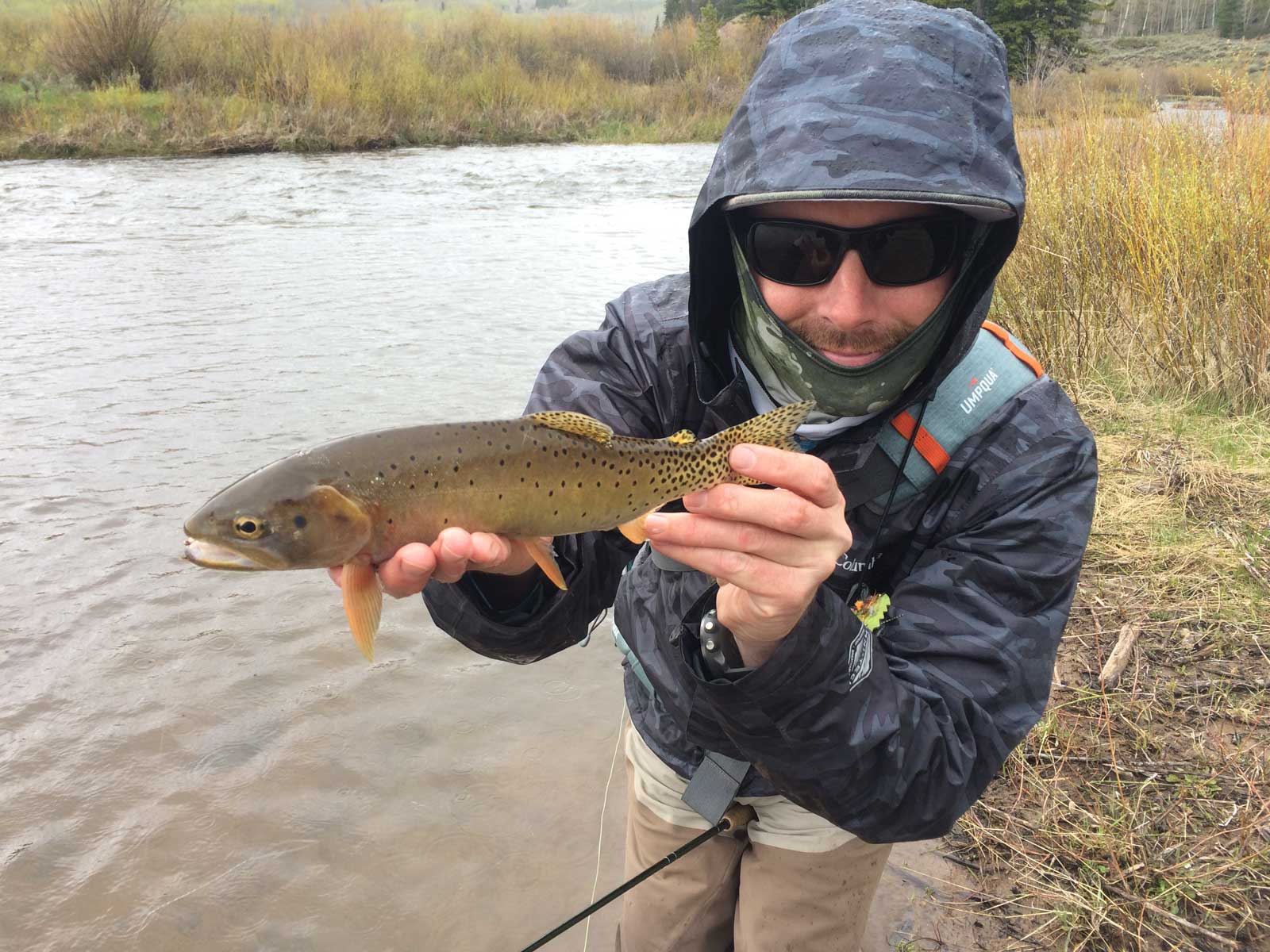 Jans Experts Fly Fishing the Cutthroat Slam in Utah
