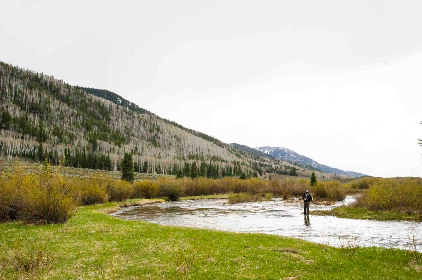 Jans Experts Fly Fishing the Cutthroat Slam in Utah