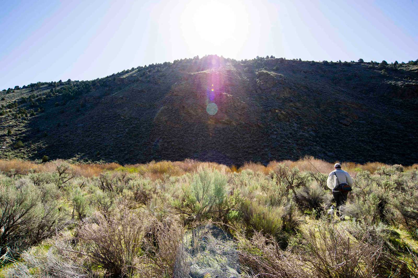 Jans Experts Fly Fishing the Cutthroat Slam in Utah