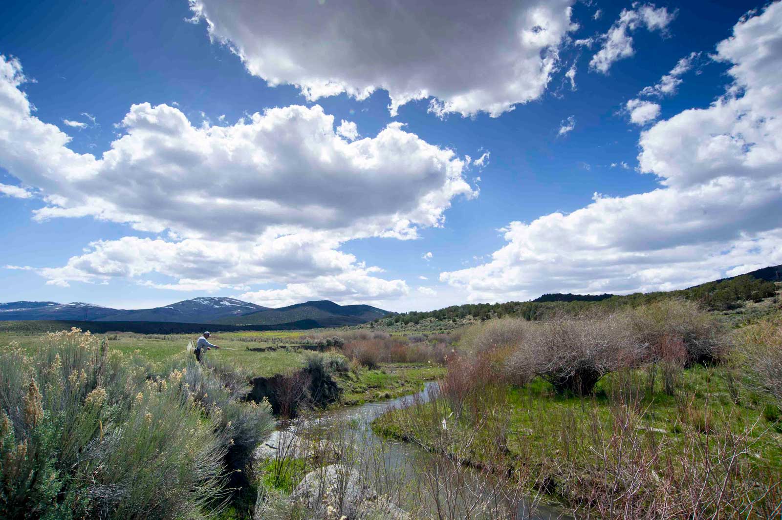 Jans Experts Fly Fishing the Cutthroat Slam in Utah