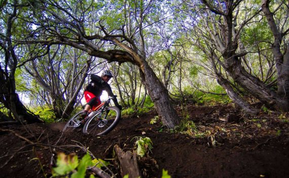 alt="New Mountain Bike Terrain Means New Adventures!"