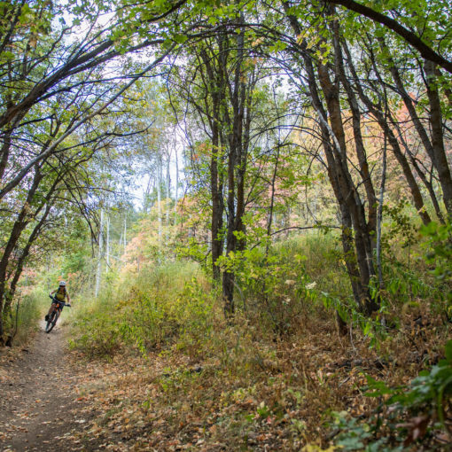 Park Citys Best Post-Work Rides for Fall | Jans Bike Shop | jans.com