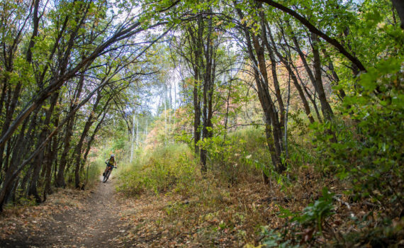 Park Citys Best Post-Work Rides for Fall | Jans Bike Shop | jans.com