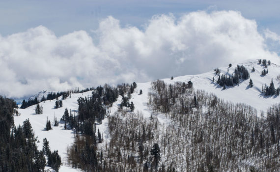 seasonal-forecasts-speculation-at-its-best