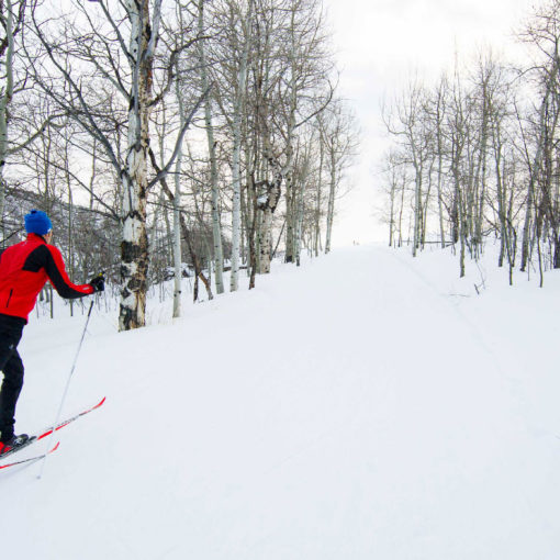 Rossignol XC Skis, Boots, Poles - Classic Discipline | Expert Picks