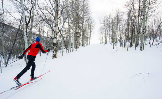 Rossignol XC Skis, Boots, Poles - Classic Discipline | Expert Picks