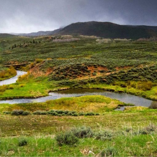 Fly Fishing Springs Early Hatches in Utah