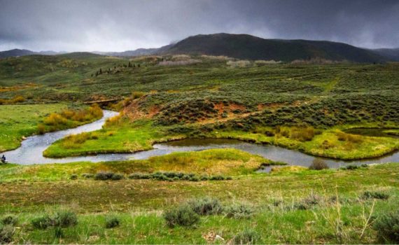 Fly Fishing Springs Early Hatches in Utah