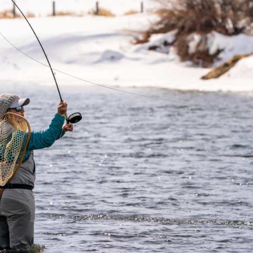 Angler casts switch rod to trout