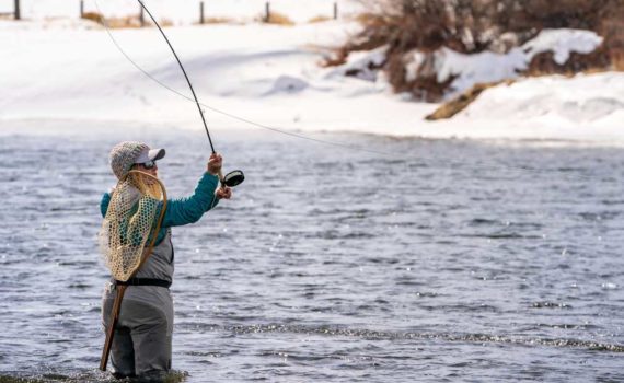 Angler casts switch rod to trout