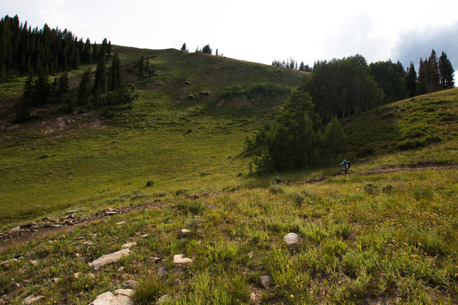 A mountain biker riding singletrack in Park City, UT
