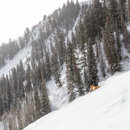 A telemark skier in powder