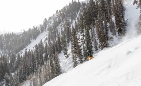A telemark skier in powder