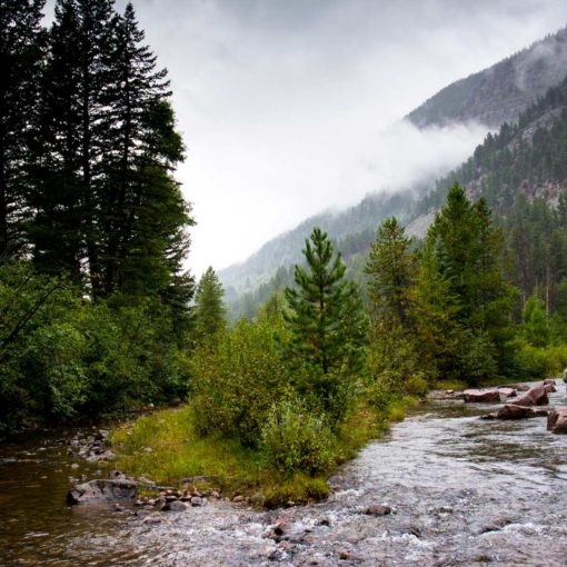 Angler fishes knee deep in a winding river by a misty mountain