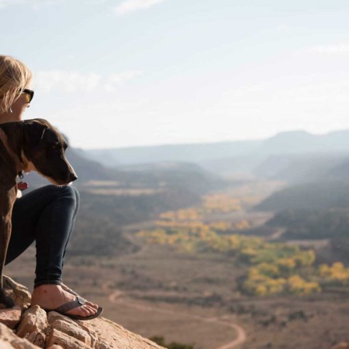 A woman looks out over a desert landscape witha dog