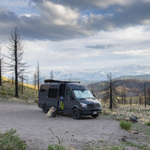 Tera and the pups enjoying another fine camping spot in Clark Canyon, California