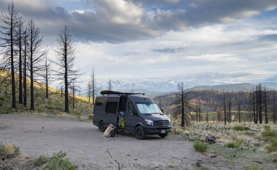Tera and the pups enjoying another fine camping spot in Clark Canyon, California