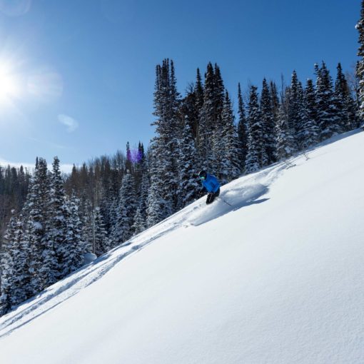 A skier in powder at Deer Valley in Park City, UT