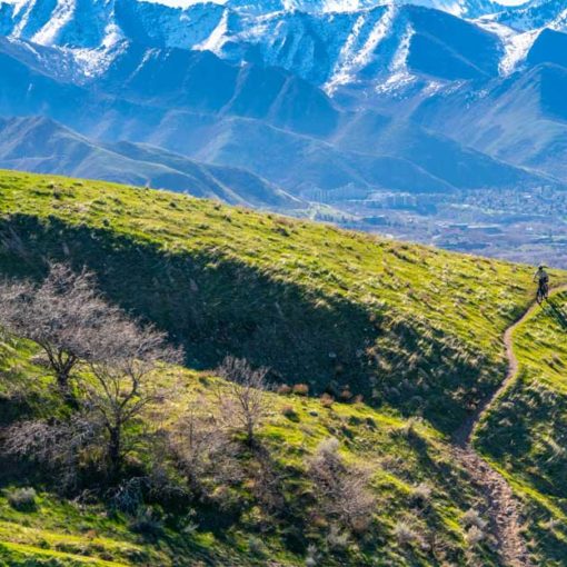a lone mountain biker descends a trail in north salt lake