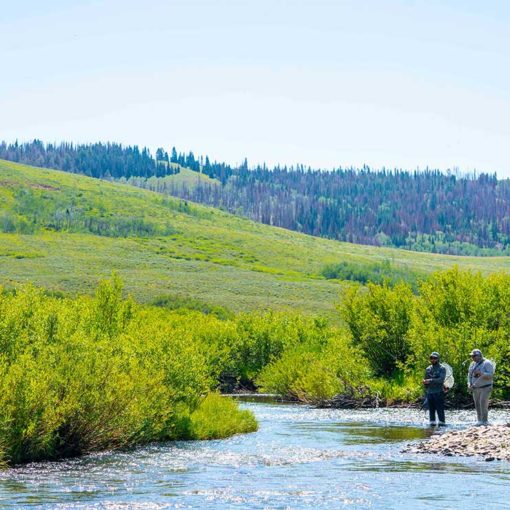 two anglers on a creek in northern utah