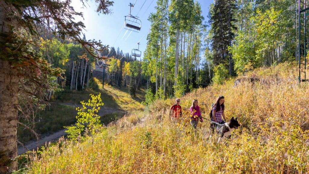 Polyamide and Polyester: What's the Difference? - blog.jans.com