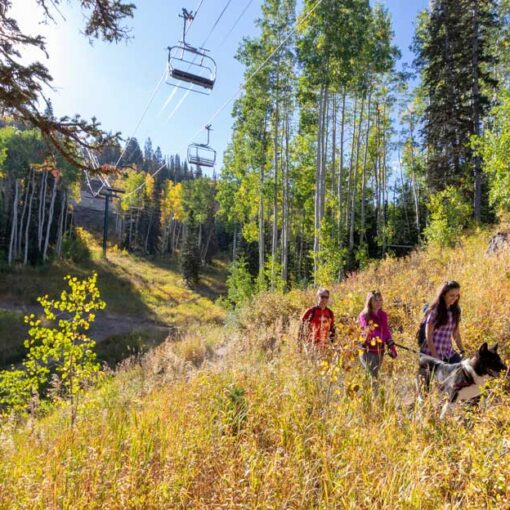 Fall Colors on Park City Trails