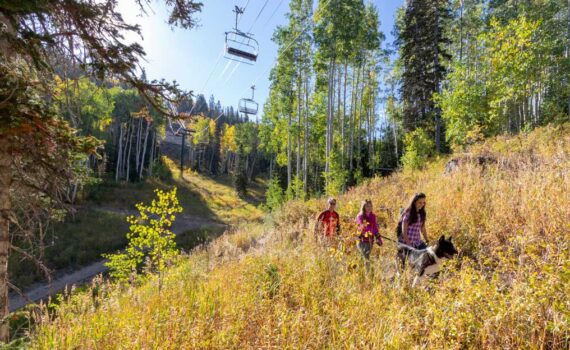Fall Colors on Park City Trails
