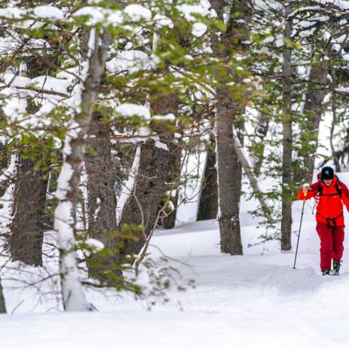 Jans Expert Scott House backcountry skis near Park City, UT.