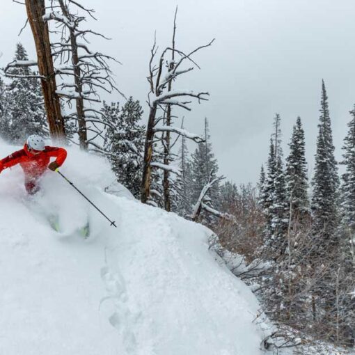 Ski expert Scott House skis powder at Solitude Resort.