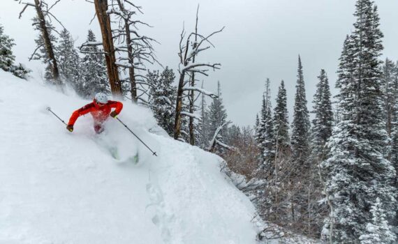 Ski expert Scott House skis powder at Solitude Resort.