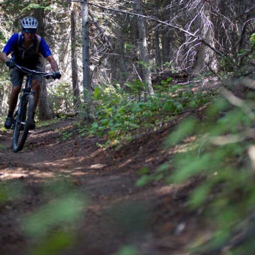 Charlie Sturgis mountain biking on a trail through a forest in Park City, UT