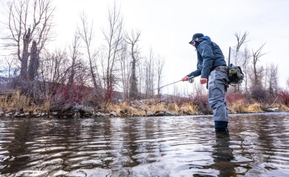 Jans fly shop employee fishes for trout near Park City, Utah.