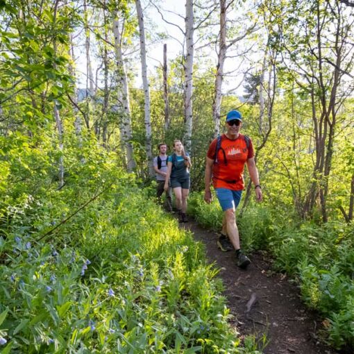 White Pine Touring guide leads a group on a hiking tour in Park City, UT.