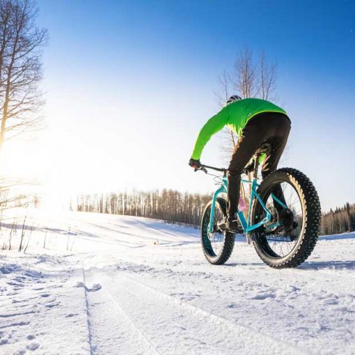 White Pine Touring guide fat bikes at Bonanza Flat in Park City, UT.