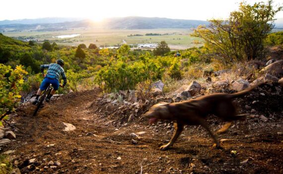 A mountain biker descends a trail followed by a brown dog in Kamas, UT