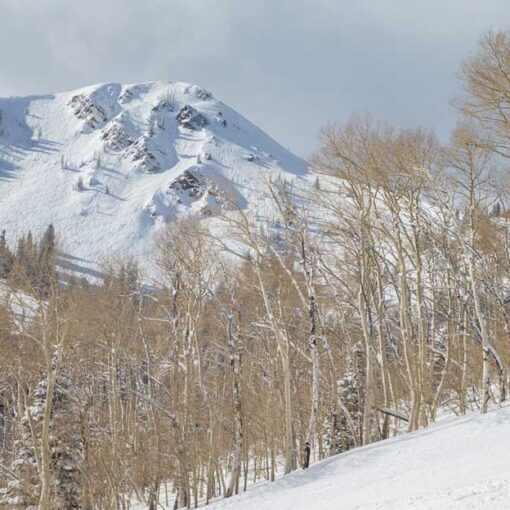 A skier carves a turn on a groomed run below Jupiter Peak in Park City, UT