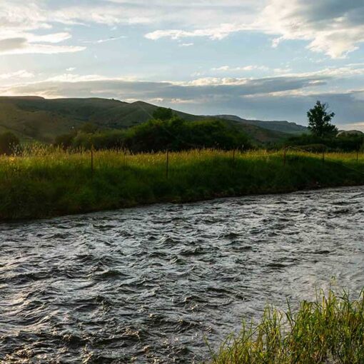 Jans fly fishing guide demonstrating good casting technique on a river near Park City, UT