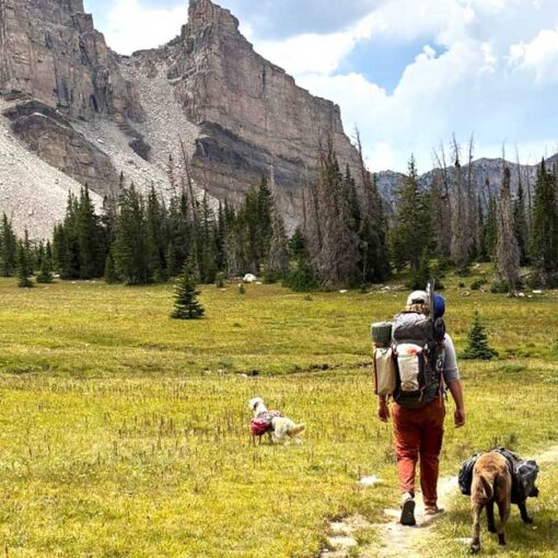 Jans Expert and two dogs backpack the Amethyst Lake trail with an impressive mountain ridgeline in the background.