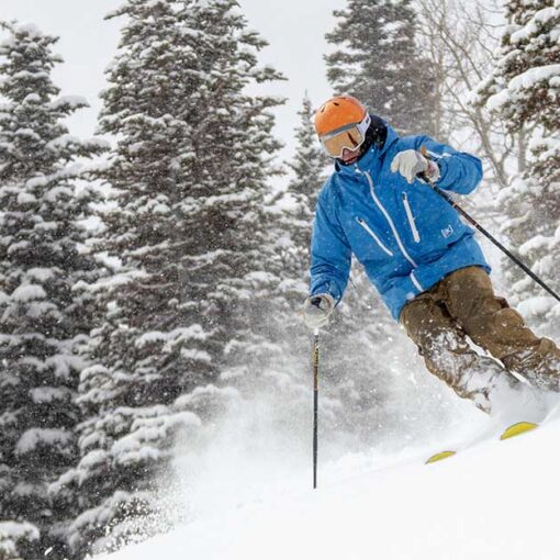 Jans Expert skis through powder during a snowstorm