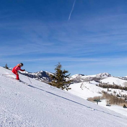Skiers cruise down freshly groomed snow at Deer Valley Resort on a bluebird day